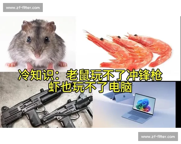 特伦钦vs叶胡达对决前瞻欧战赛场战术博弈与胜负关键因素深度解析全面解读